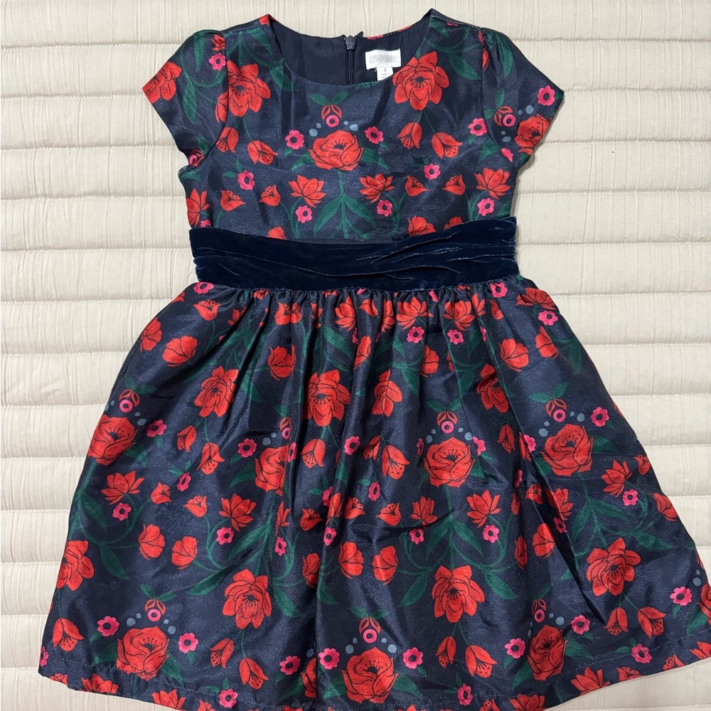 Gymboree Floral Kids Dress with Velvet Accents